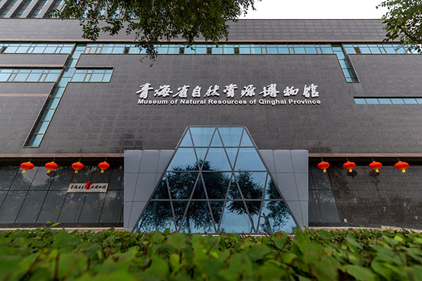 青海省自然资源博物馆签约广西维构网络科技有限公司 智慧导览系统赋能博物馆数字化转型新篇章